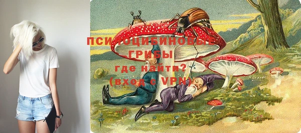 гидра Инсар