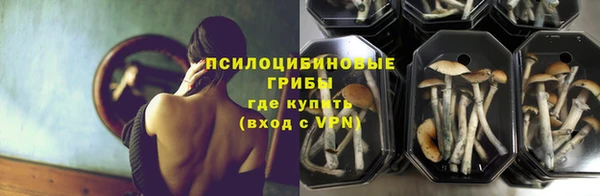 mdpv Иннополис