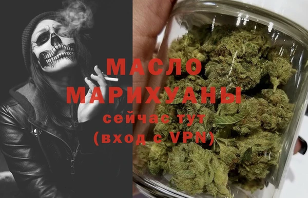 гидра Инсар