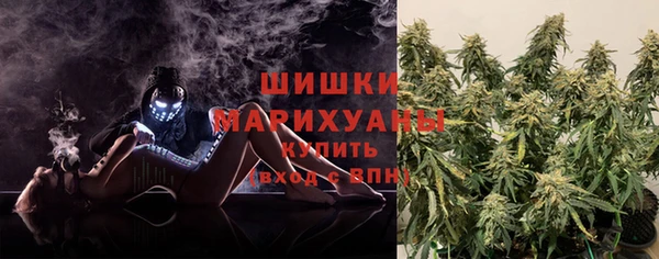 дмт Зеленодольск