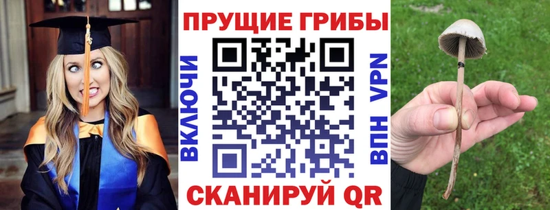 Псилоцибиновые грибы MAGIC MUSHROOMS  Купить закладки  Ишимбай 
